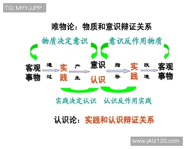 重庆羽毛球队意识对比分析揭示团队精神与个人能力的深层关系
