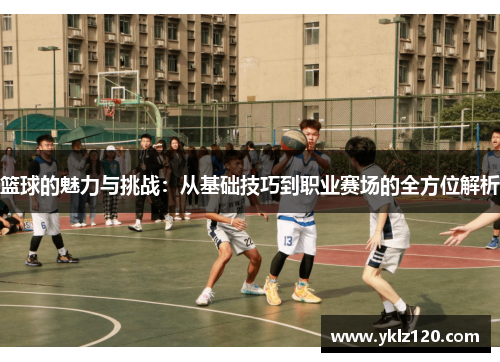 篮球的魅力与挑战：从基础技巧到职业赛场的全方位解析