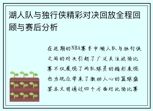 湖人队与独行侠精彩对决回放全程回顾与赛后分析